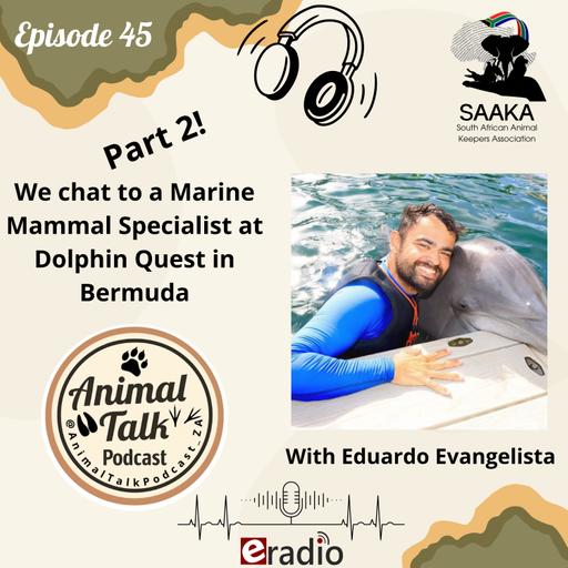 Episode 45 Part 2 "with Eduardo Evangelista"