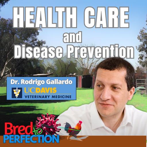 Ep296 - Bloodlines Under Threat: What Every Breeder Needs to Know About Avian Leukosis
