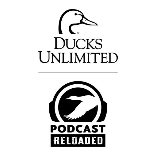 RELOADED EP235 - Waterfowl Harvest Management Series, Part 16: Pintail AHM & the Role of Harvest in Duck Management