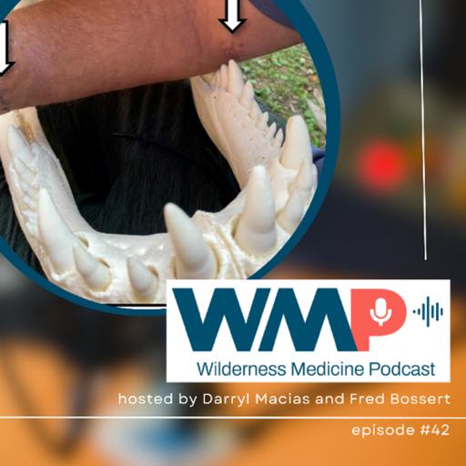 #42: Diver vs. Alligator: A Remarkable Survival Story