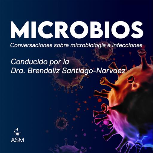 Raíces, Microbios Y Azufre – Conexiones Ocultas en El Microbioma de la Raíz
