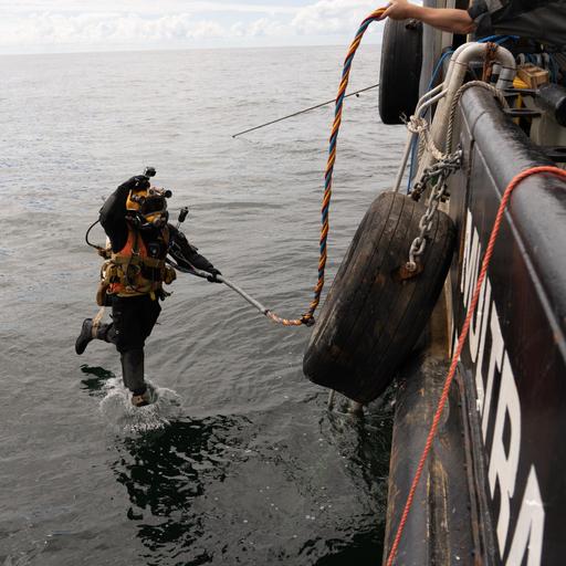 Die Spur der toten Austern (2/2) - Alles fließt ins Meer