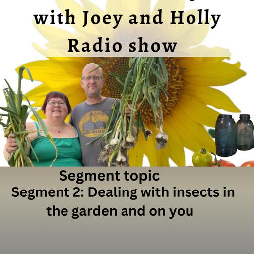 Episode 1629: Seg 2 of S10E26 Dealing with insects in the garden & on you, - The gardening with Joey and Holly Radio Show