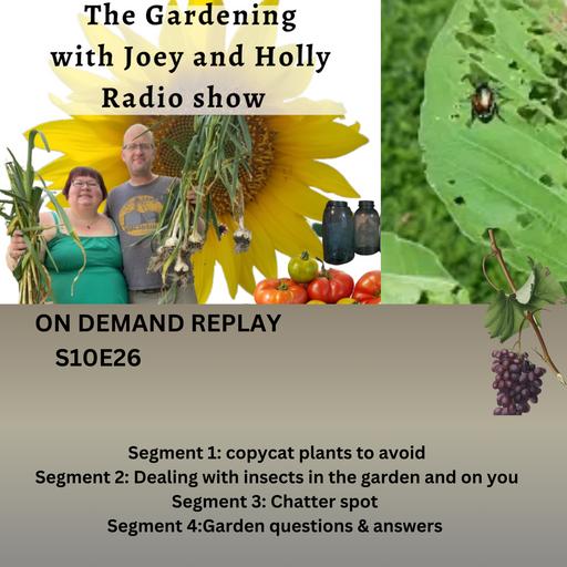 Episode 1627: S10E26 copycat plants to avoid, Dealing with insects in the garden & on you, Chatter spot Garden q&a - The Gardening with Joey and Holly Radio Show
