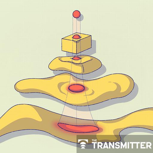 This paper changed my life: Learning the molecular rules of cell identity