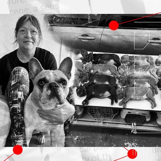 Susanna fick veta att Majken var en smuggelhund