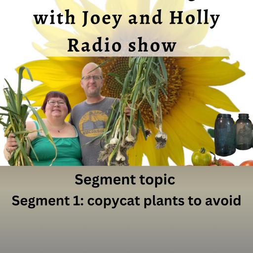Episode 1628: Seg 1 of S10E26 copycat plants to avoid - The Gardening with Joey and Holly Radio Show