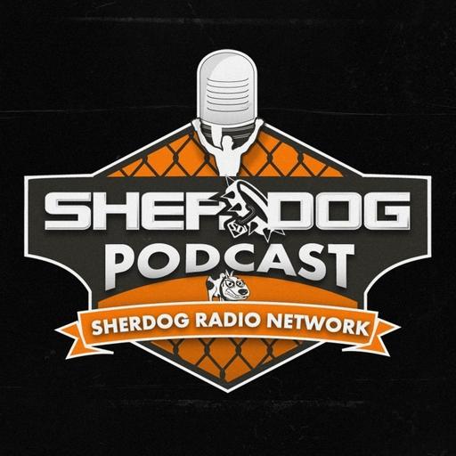 TOP 5 FIGHTS in July | The Sheehan Show