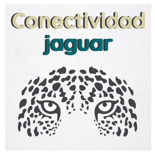 Conectando el territorio del jaguar: una mirada socioecológica