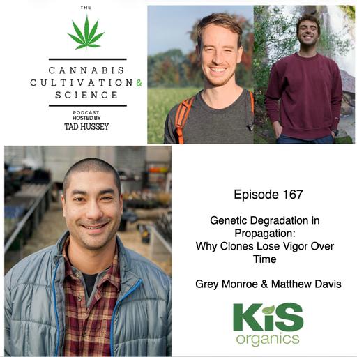 Episode 167: Genetic Degradation in Propagation: Why Clones Lose Vigor Over Time