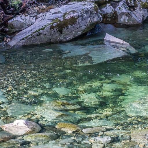 Beside a Mountain Stream | 8 Hours of Flowing Water & Birdsong for Deep Sleep