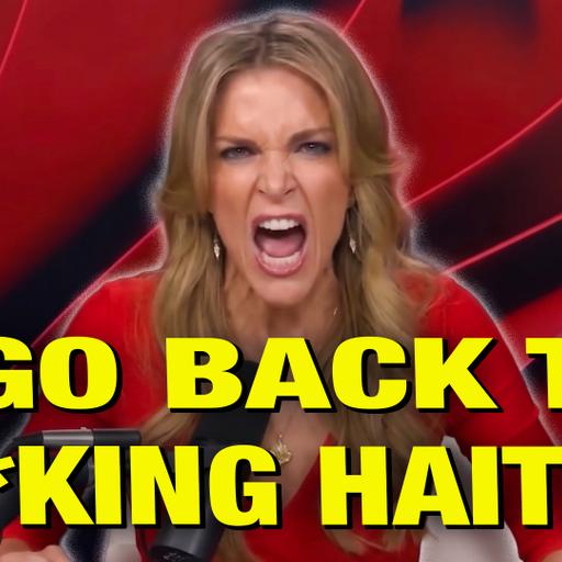 Megyn Kelly's Humiliating CRASH OUT Over Haitian Immigrants!