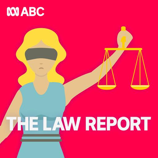 Who should pay when prison guards or police officers cause injury?