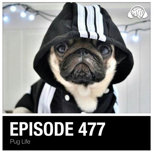 477: Pug Life