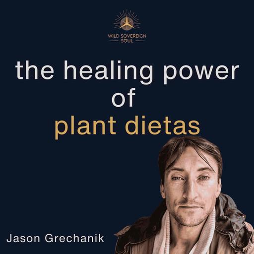 The Truth About Sacred Plant Dietas And How They Heal - Jason Grechanik