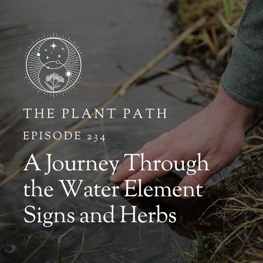A Journey Through the Water Element Signs and Herbs