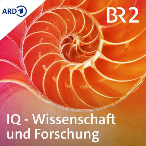 Gewitter-Asthma - Wie gefährlich ist Atemnot bei Blitz und Donner?