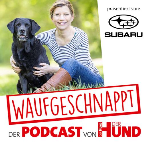 Hundetraining auf der Alm - Kristina Ziemer-Falke
