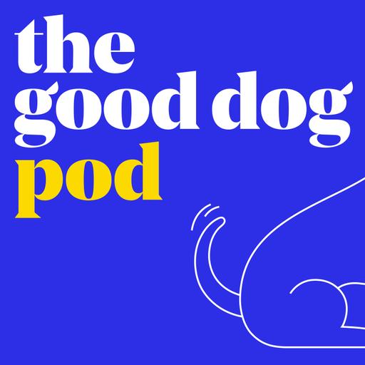 Understanding the Nutritional Needs of Puppies