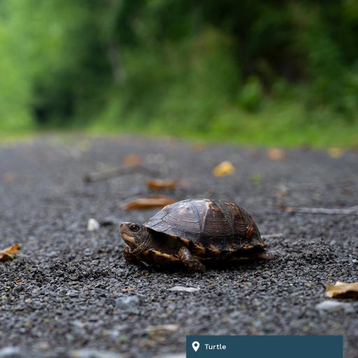 daily304 – Episode 07.01.2026