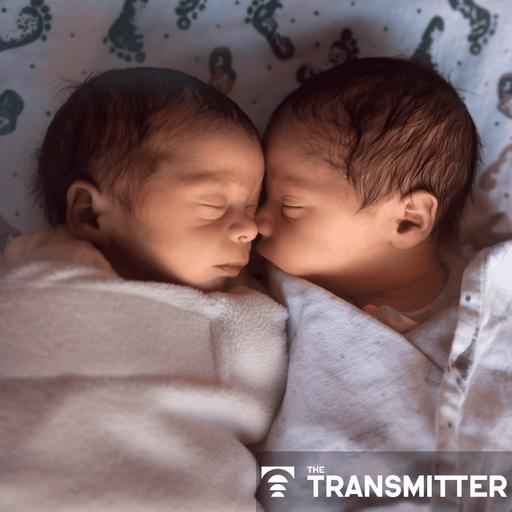 Cousin comparison parses genetic effects in autism