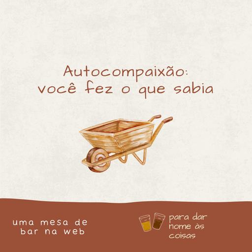 S08EP332 - Autocompaixão: você fez o que sabia