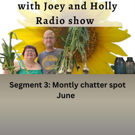Episode 1630: Seg 3 of S10E26 life questions (chatter spot) - The Gardening with Joey and Holly Radio Show