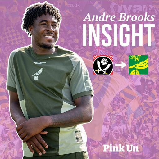 INSIGHT: What sort of player have Norwich City signed in Andre Brooks? | The Pink Un