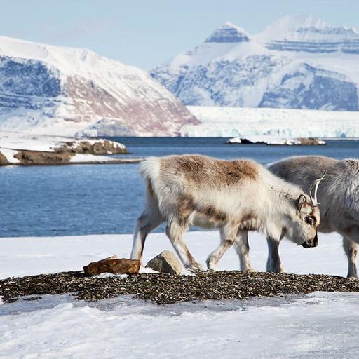 How Antarctica got its ice sheets, and what happens when geopolitical relationships turn chilly in the Arctic