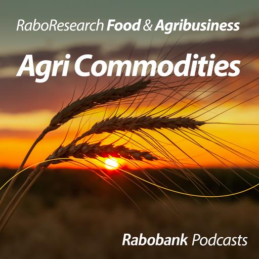 USDA Acreage and Grain Stocks: Wheat surprises