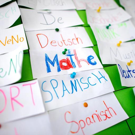 Kakadu eure Fragen: - Wer bestimmt die Schulfächer?