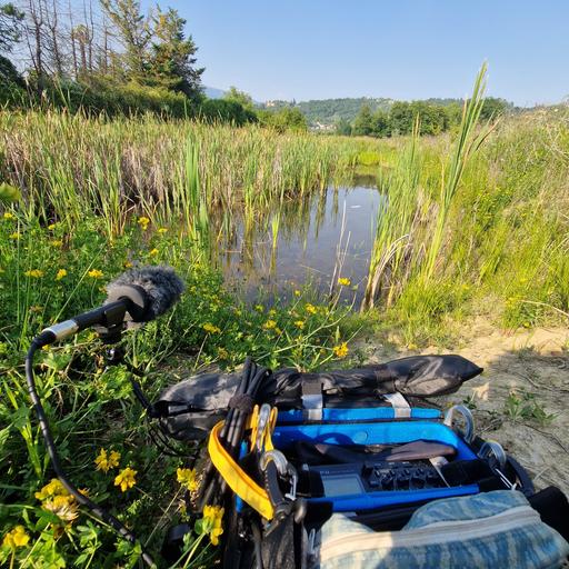 Pond, Monte Gussa near Bergamo, Italy in May 2026 – by Riccardo Preda