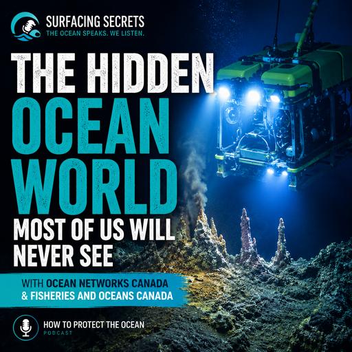 The Hidden Ocean World Most of Us Will Never See