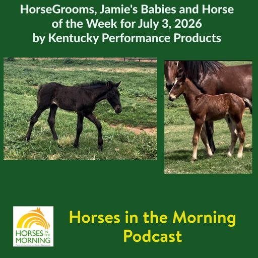 HorseGrooms, Jamie's Babies and Horse of the Week for July 3, 2026 by Kentucky Performance Products