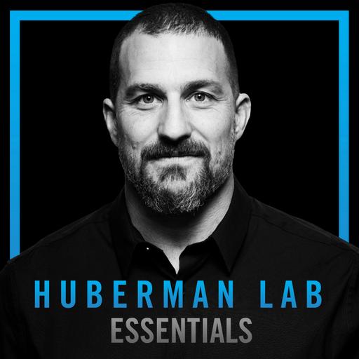 Essentials: Tools for Hormone Optimization in Males | Dr. Kyle Gillett