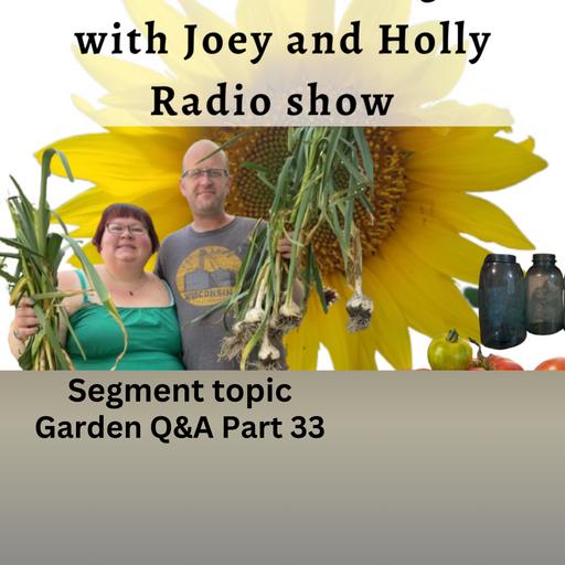 Episode 1631: Seg 4 of S10E26 Gardening Questions and Answers - The Gardening with Joey and Holly Radio Show