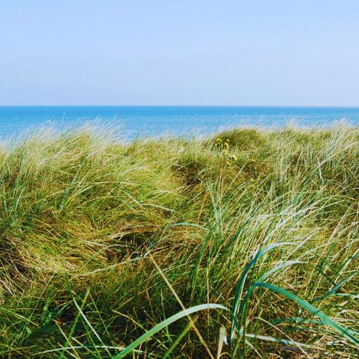 Beside the Baltic Sea | 8 Hours of Gentle Waves for Deep Sleep