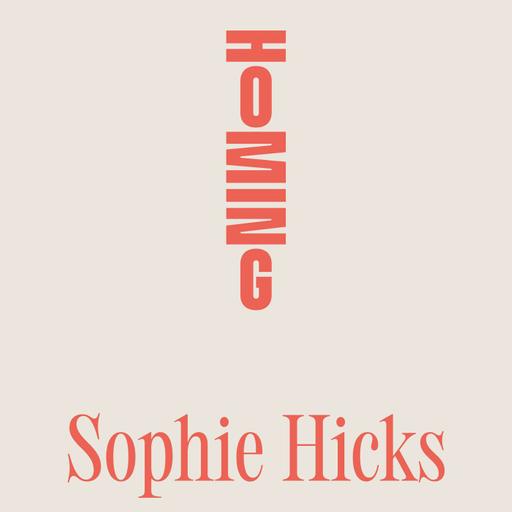 Architect Sophie Hicks on being an 80s cover girl, and why every object should have a purpose