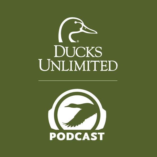 Prairie Conditions & Duck Predictions | 2026 Habitat Update
