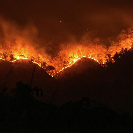 S5E20: Our Love for Fireworks Could Harm the Desert