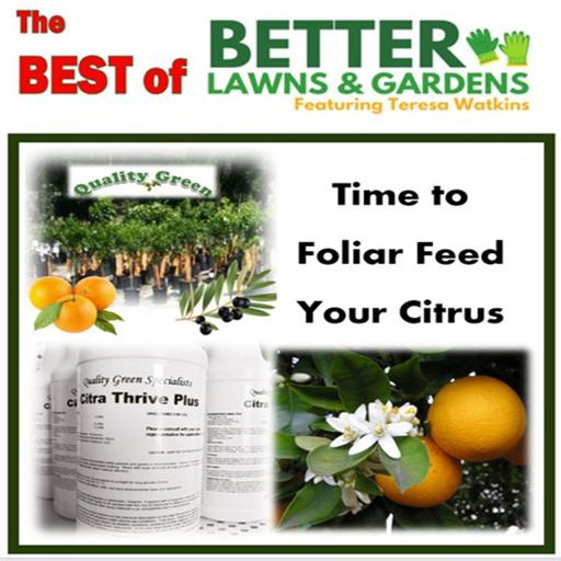 S2 Ep462: Best of Better Lawns and Gardens - Hour 1 Citrus Foliar Feeding July 4, 2026