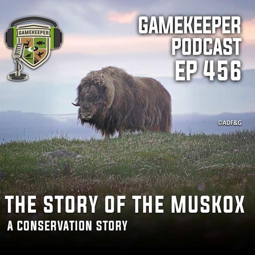 EP: 456 | The Story of the Muskox a Conservation Story⁠