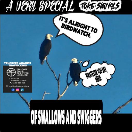 It's alright to bird watch: Swiggers and Swallows