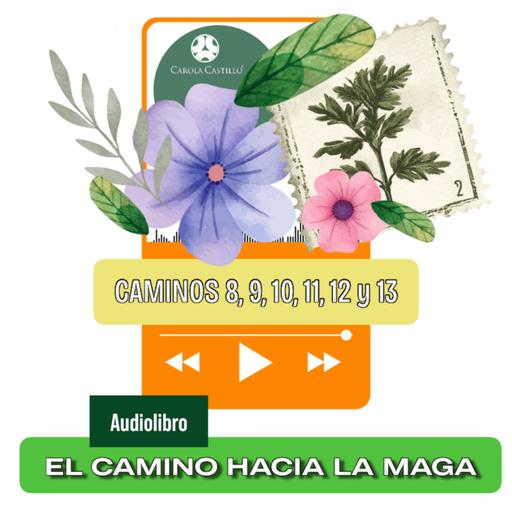 #127 - CAMINOS 8, 9, 10, 11, 12 y 13 "EL CAMINO HACIA LA MAGA" Audio Libro