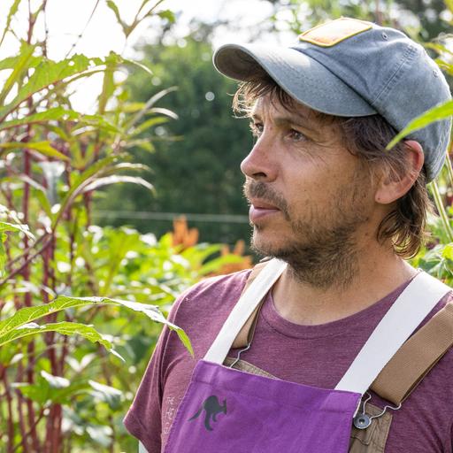 In Defense of Okra