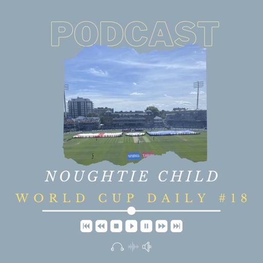 T20 World Cup Daily #18 - Australia are Champions