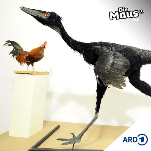 Dinos und Hühner