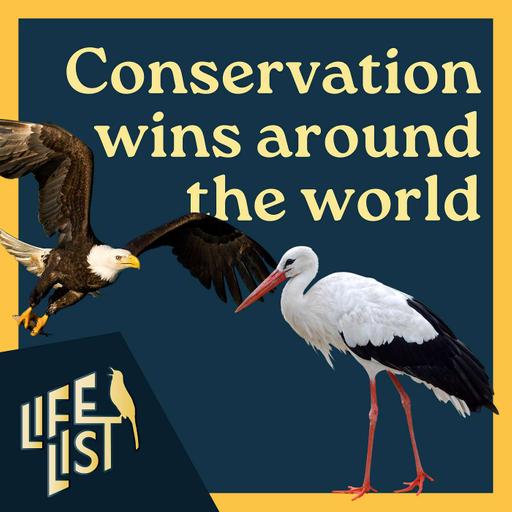 What bird conservation successes can teach us with Scott Weidensaul