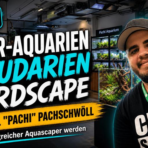 Natur-Aquarien, Paludarien und Hardscape (Samuel "Pachi" Pachschwöll)