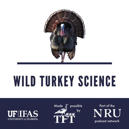 Don't feed the coons, folks | Wild Turkey Science #589